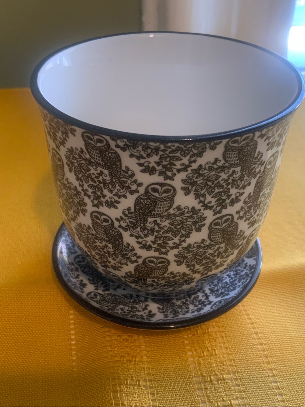 Small Ceramic Owl Pattern Planter Pot with Matching Saucer / Drip Tray (3.5")
